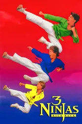 3 Ninjas Siêu Quậy | 3 Ninjas Siêu Quậy (1994)