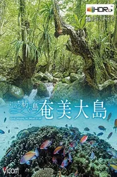 Đảo Amami Oshima | Đảo Amami Oshima (2020)