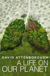 David Attenborough: Một cuộc đời trên Trái Đất | David Attenborough: Một cuộc đời trên Trái Đất (2020)