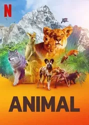 Động vật (Phần 1) | Động vật (Phần 1) (2021)
