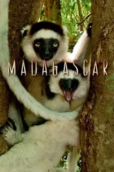 Madagascar 2011 | Madagascar 2011 (2011)