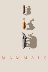 Mammals (2024) | Mammals (2024) (2024)