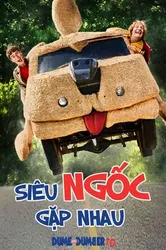 Siêu Ngốc Gặp Nhau | Siêu Ngốc Gặp Nhau (2014)