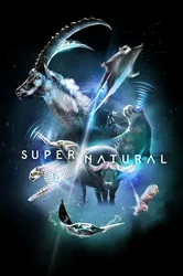 Super/Natural | Super/Natural (2022)