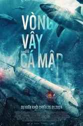 Vòng Vây Cá Mập | Vòng Vây Cá Mập (2024)